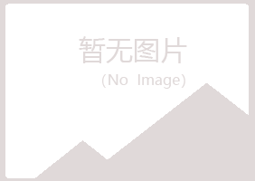 岚山区以海咨询有限公司